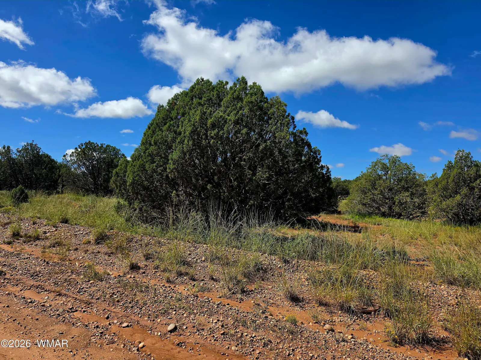4428 Colt Road, Snowflake, AZ 85937 — Photo 1 of 13