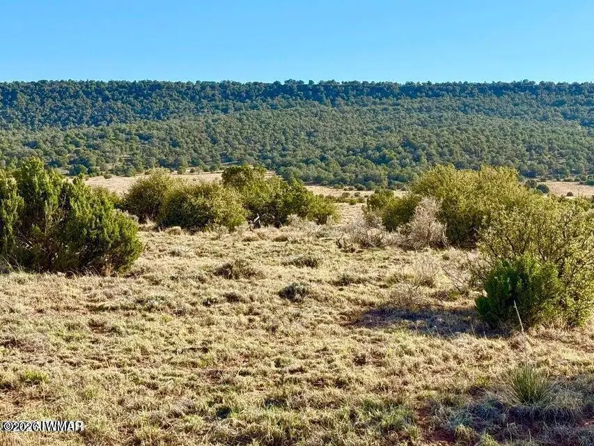 85 Co Road 8500 40 Acres, Concho, AZ 85924, photo 4 of 25