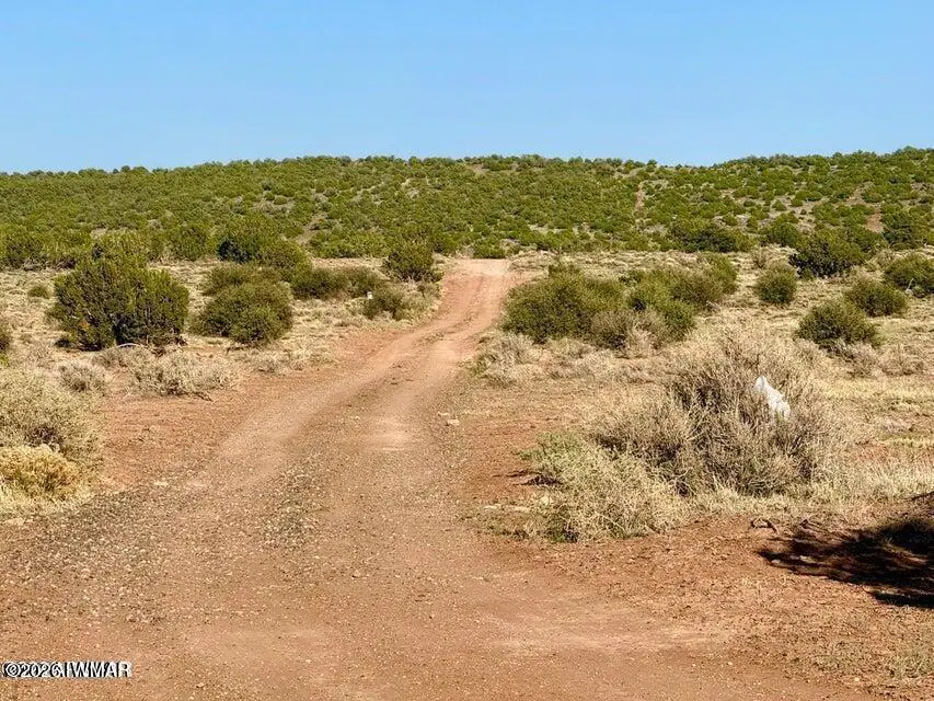 85 Co Road 8500 40 Acres, Concho, AZ 85924, photo 5 of 25