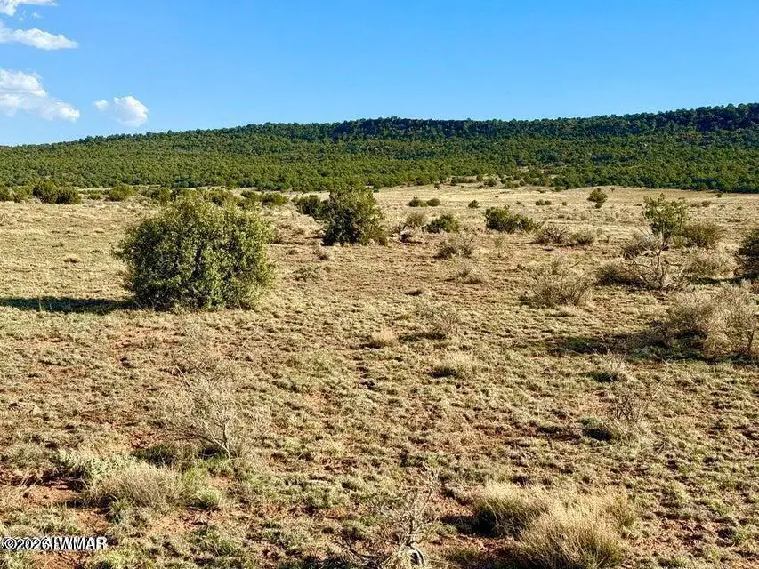 85 Co Road 8500 40 Acres, Concho, AZ 85924, photo 9 of 25