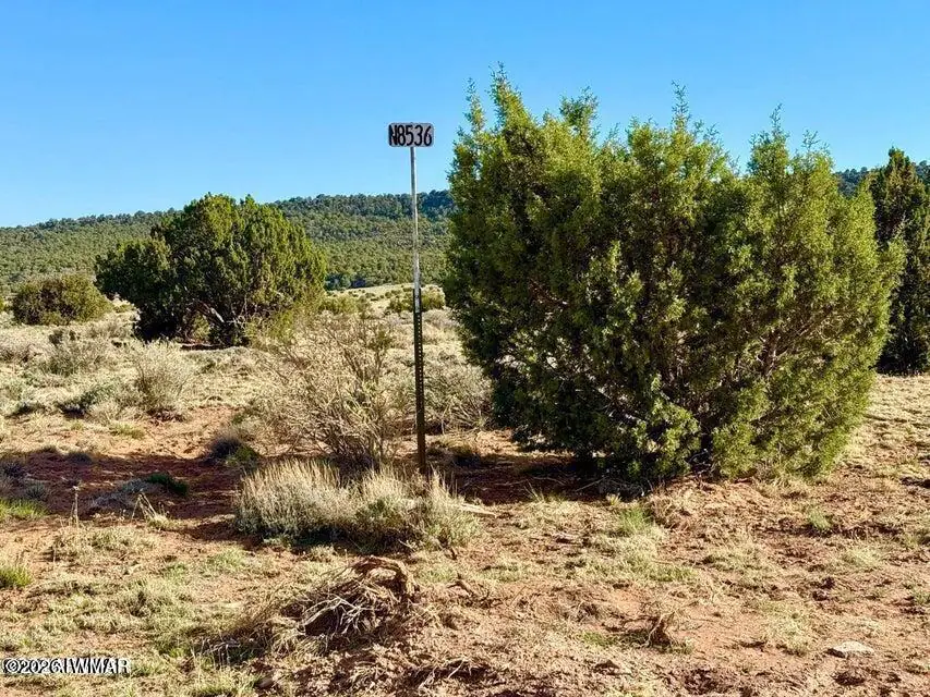 85 Co Road 8500 40 Acres, Concho, AZ 85924, photo 13 of 25