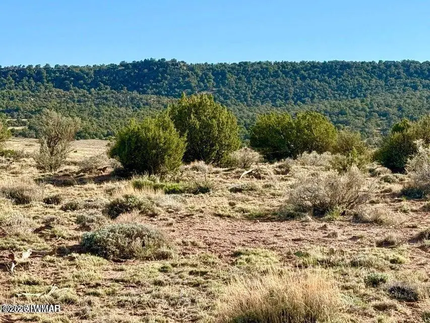 85 Co Road 8500 40 Acres, Concho, AZ 85924, photo 15 of 25