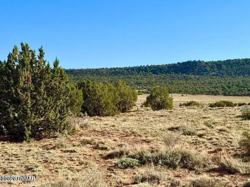 85 Co Road 8500 40 Acres, Concho, AZ 85924, photo 17 of 25