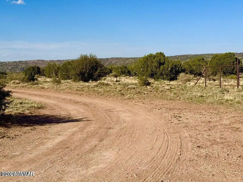 85 Co Road 8500 40 Acres, Concho, AZ 85924, photo 19 of 25