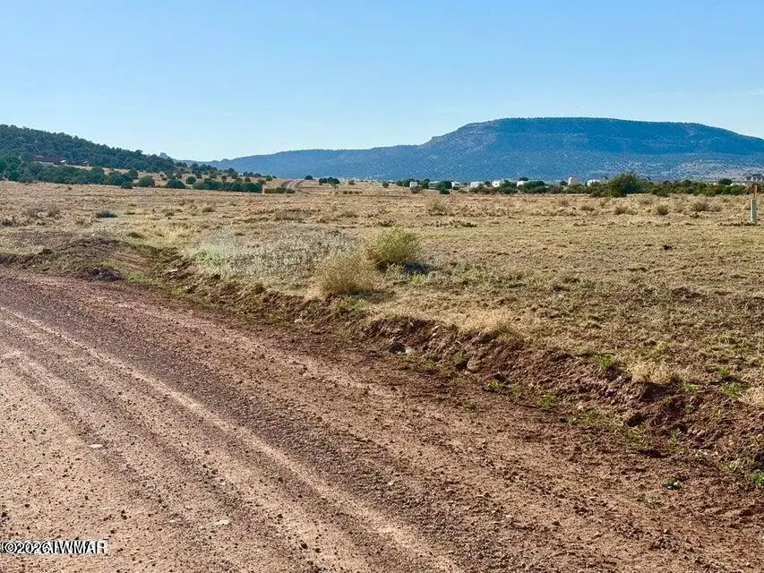 85 Co Road 8500 40 Acres, Concho, AZ 85924, photo 21 of 25