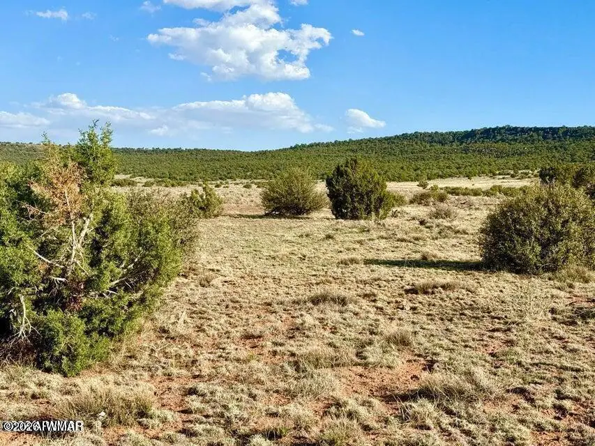 85 Co Road 8500 40 Acres, Concho, AZ 85924, photo 22 of 25