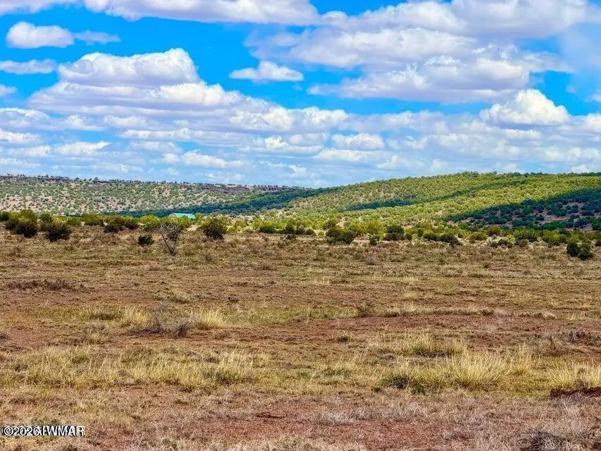 85 Co Road 8500 40 Acres, Concho, AZ 85924, photo 23 of 25