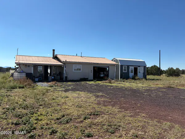 46 County Road 8307, Concho, AZ 85924