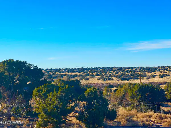 9747 Willis Hill Trl 40 Acres -, Snowflake, AZ 85937