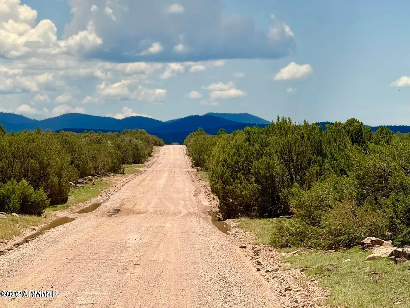 125 Co Rd 8051 -, Concho, AZ 85924 — Photo 1 of 9