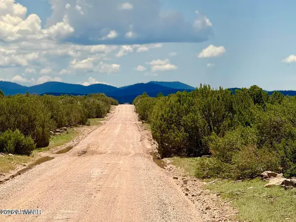 127 Co Rd 8051 -, Concho, AZ 85924