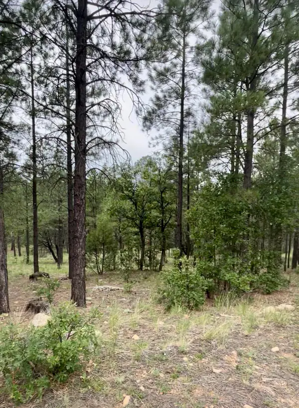 3174 Apache Drive, Happy Jack, AZ 86024
