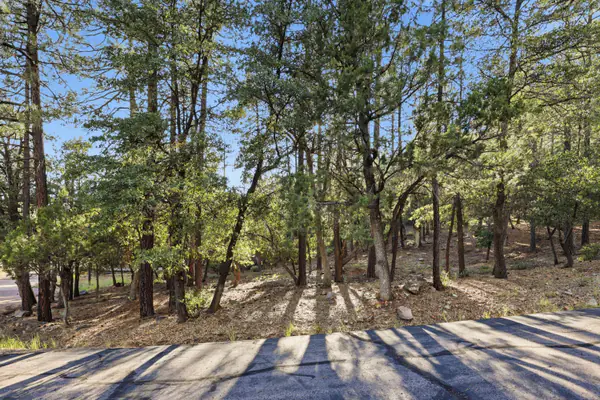 98 Trails End Drive, Pine, AZ 85544