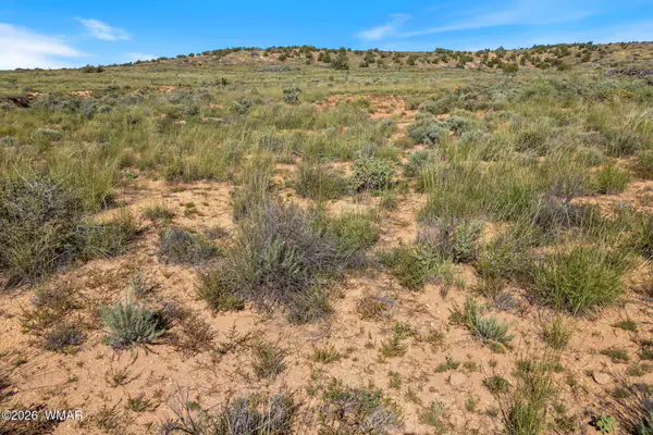 Land at TBD W Flake Avenue, Snowflake