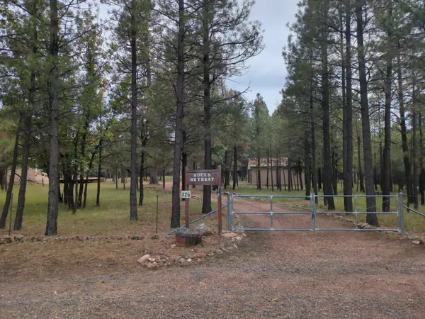 826 Jacks Canyon Drive, Happy Jack, AZ 86024