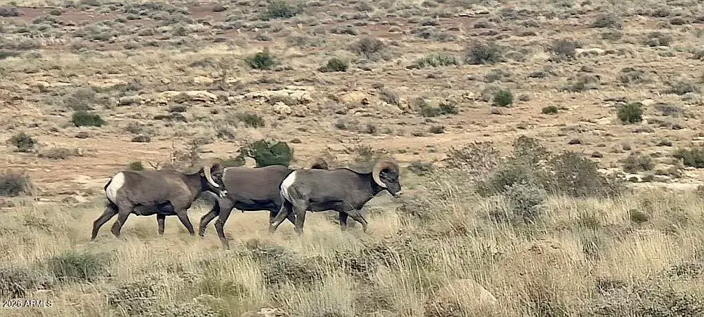 851 Battle Canyon Road 9, Winslow, AZ 86047 — Photo 1 of 8