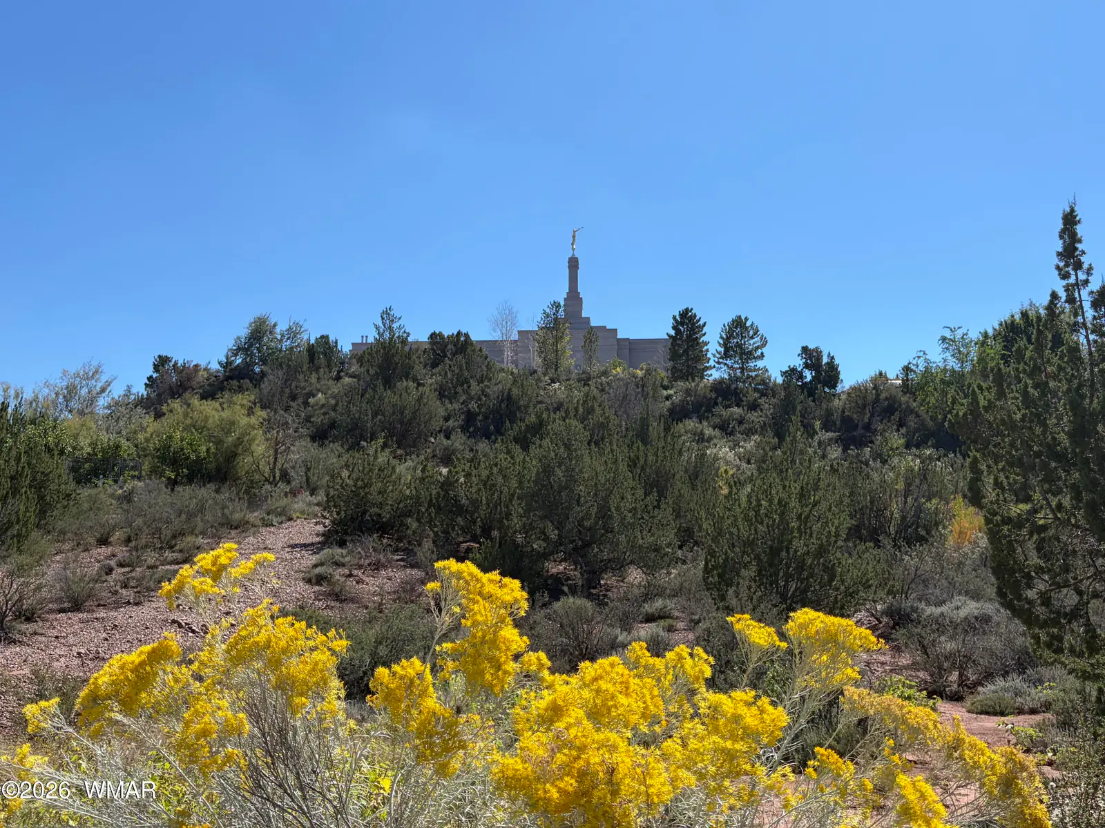 24 S Temple Circle, Snowflake, AZ 85937 — Photo 1 of 36