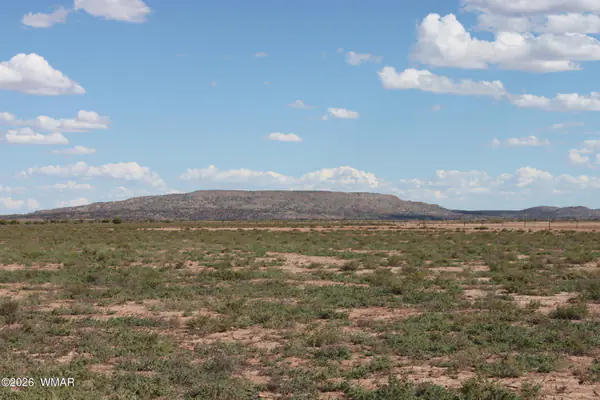 453 Co Rd 5392, Concho, AZ 85924