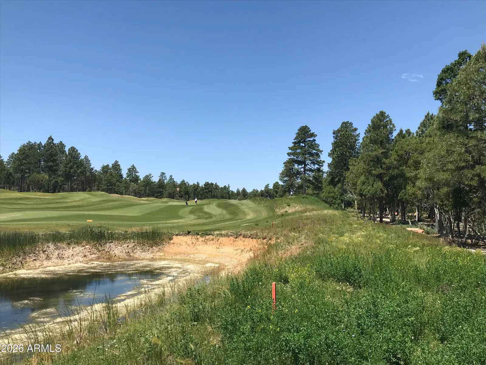 4241 W FALLING LEAF Road 319, Show Low, AZ 85901 — Photo 1 of 4