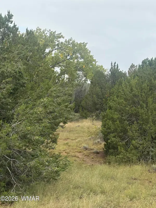 TBD 8060, 107-46-084F, Concho, AZ 85924