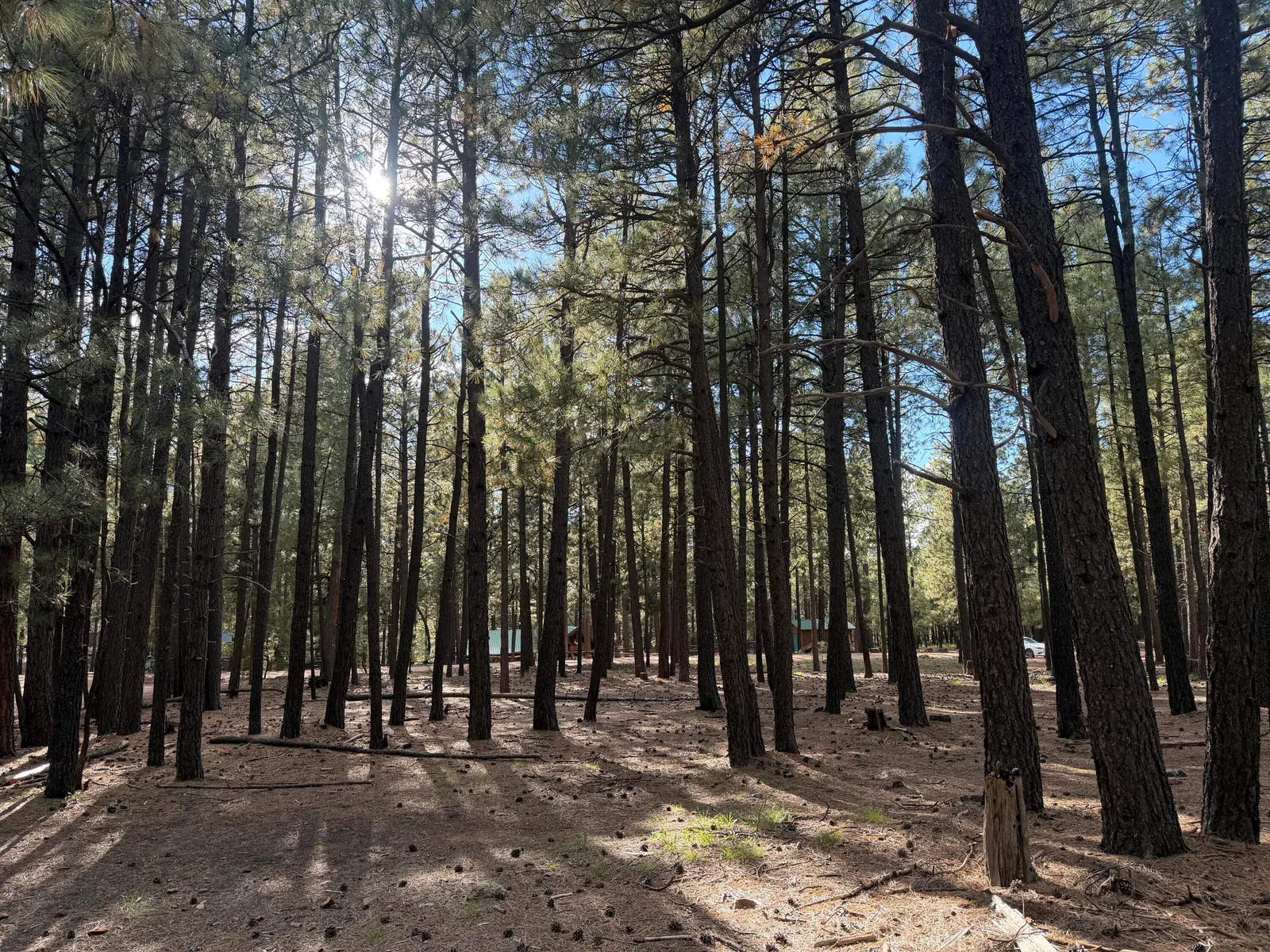 2661 Vacation Drive, Forest Lakes, AZ 85931 — Photo 1 of 5