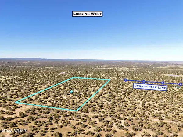 0 Lake Ridge Road, Show Low, AZ 85901