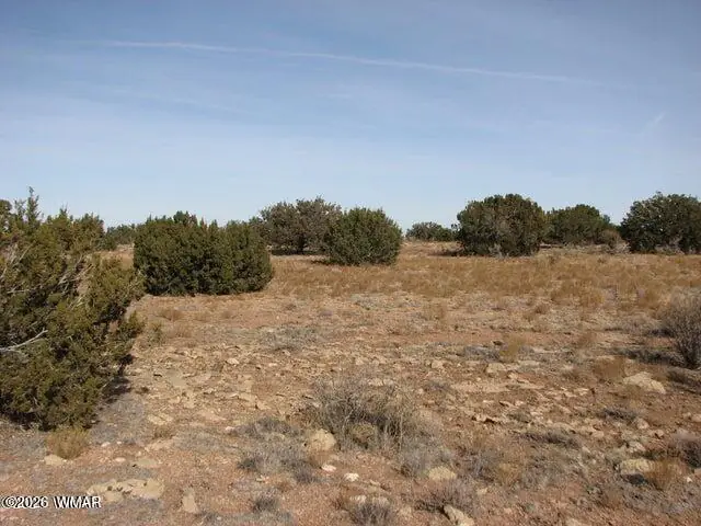 Sec 11 T14N, R16E, Nw4 Se4 Ne4, Heber, AZ 85928 — Photo 1 of 2