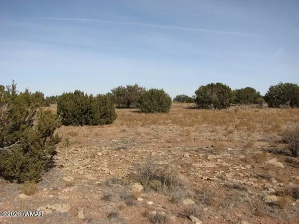 Sec 11 T14N, R16E, Nw4 Se4 Ne4, Heber, AZ 85928