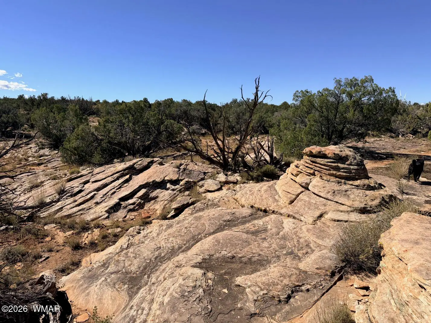 Lot 19 Snowflake Ranches, Snowflake, AZ 85937 — Photo 1 of 41