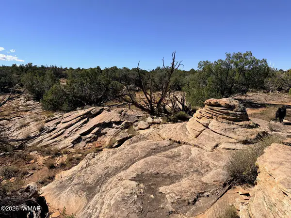Lot 19 Snowflake Ranches, Snowflake, AZ 85937