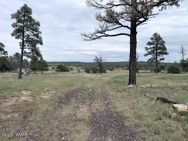 1807 Rocky Lane, Show Low, AZ 85901 — Photo 1 of 17