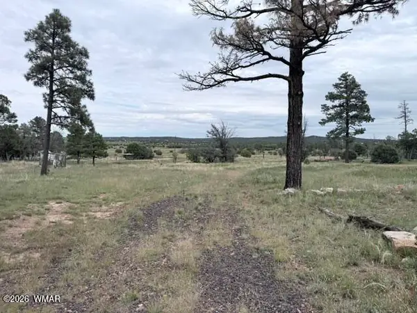 1807 Rocky Lane, Show Low, AZ 85901