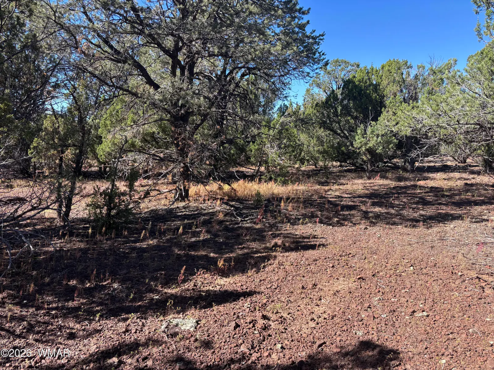 tbd ACR 3027, Vernon, AZ 85940 — Photo 1 of 25