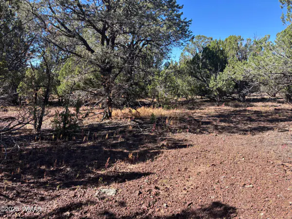 tbd ACR 3027, Vernon, AZ 85940