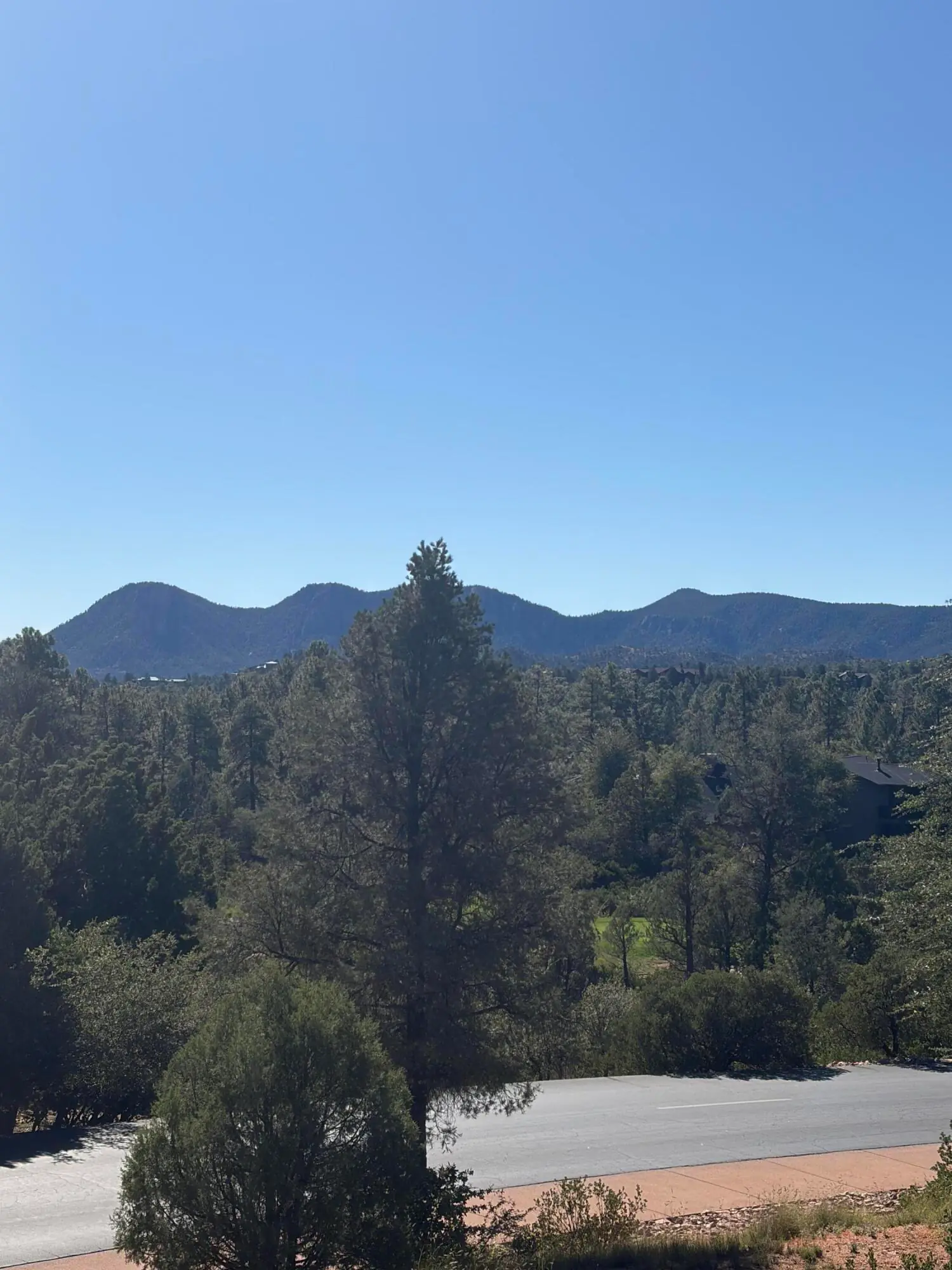 800 N Grapevine Drive, Payson, AZ 85541 — Photo 1 of 15