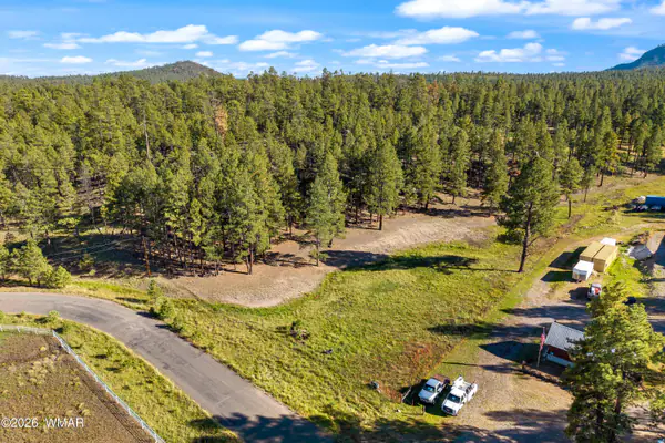 158 County Road 2266, Alpine, AZ 85920