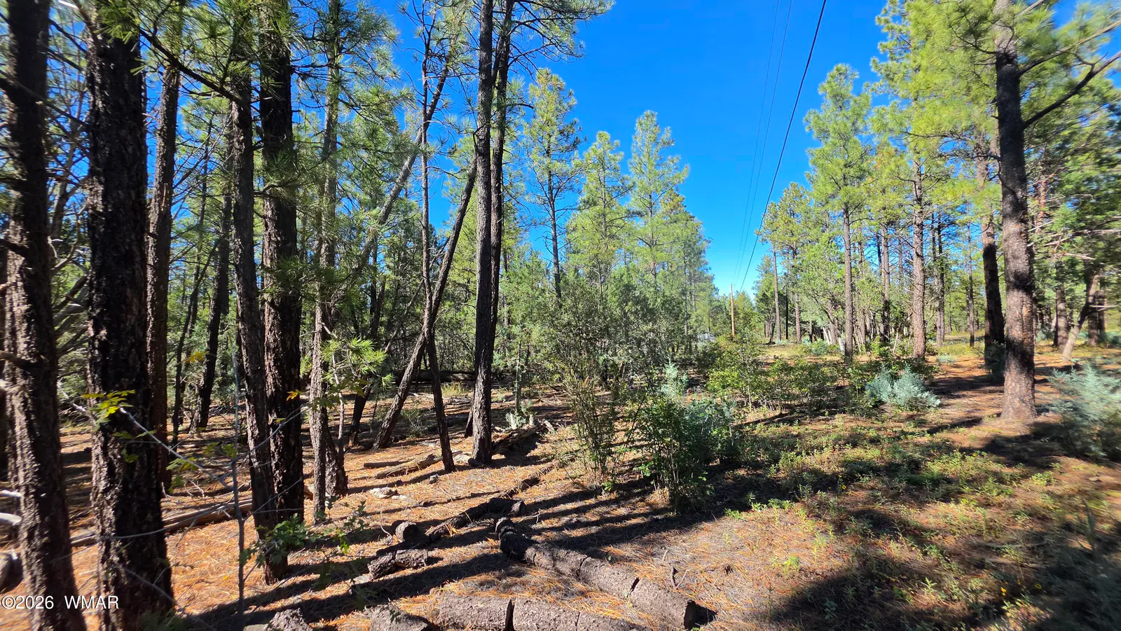 TBD N Blue Grass Ranch Drive, Lakeside, AZ 85929 — Photo 1 of 12