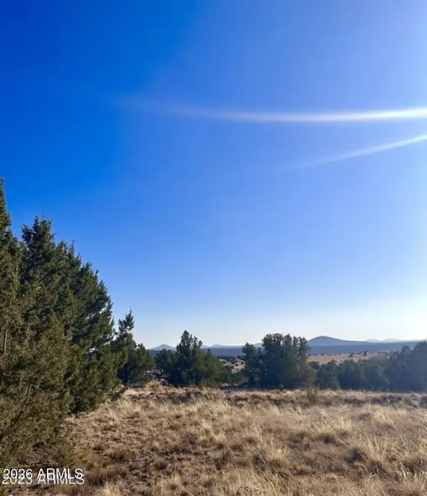 Land at 14 8249 38, Concho