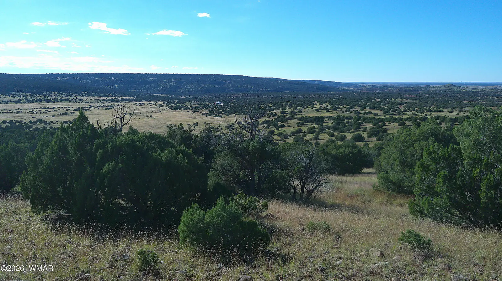 TBD Lakeview Ranch, Concho, AZ 85924 — Photo 1 of 35
