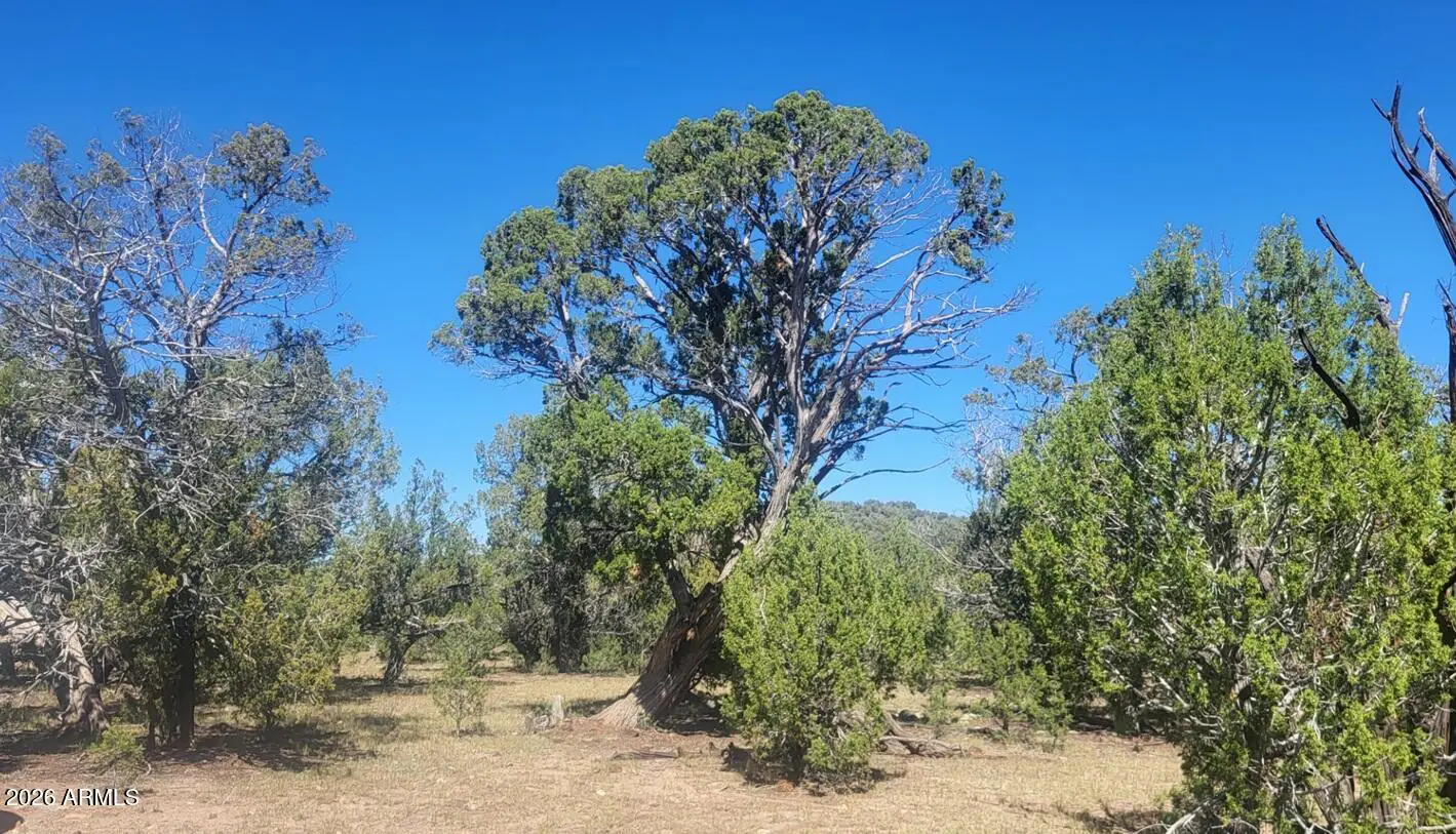 LOT1063 Mystic Way 1063, Williams, AZ 86046 — Photo 1 of 23
