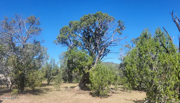 LOT1063 Mystic Way 1063, Williams, AZ 86046