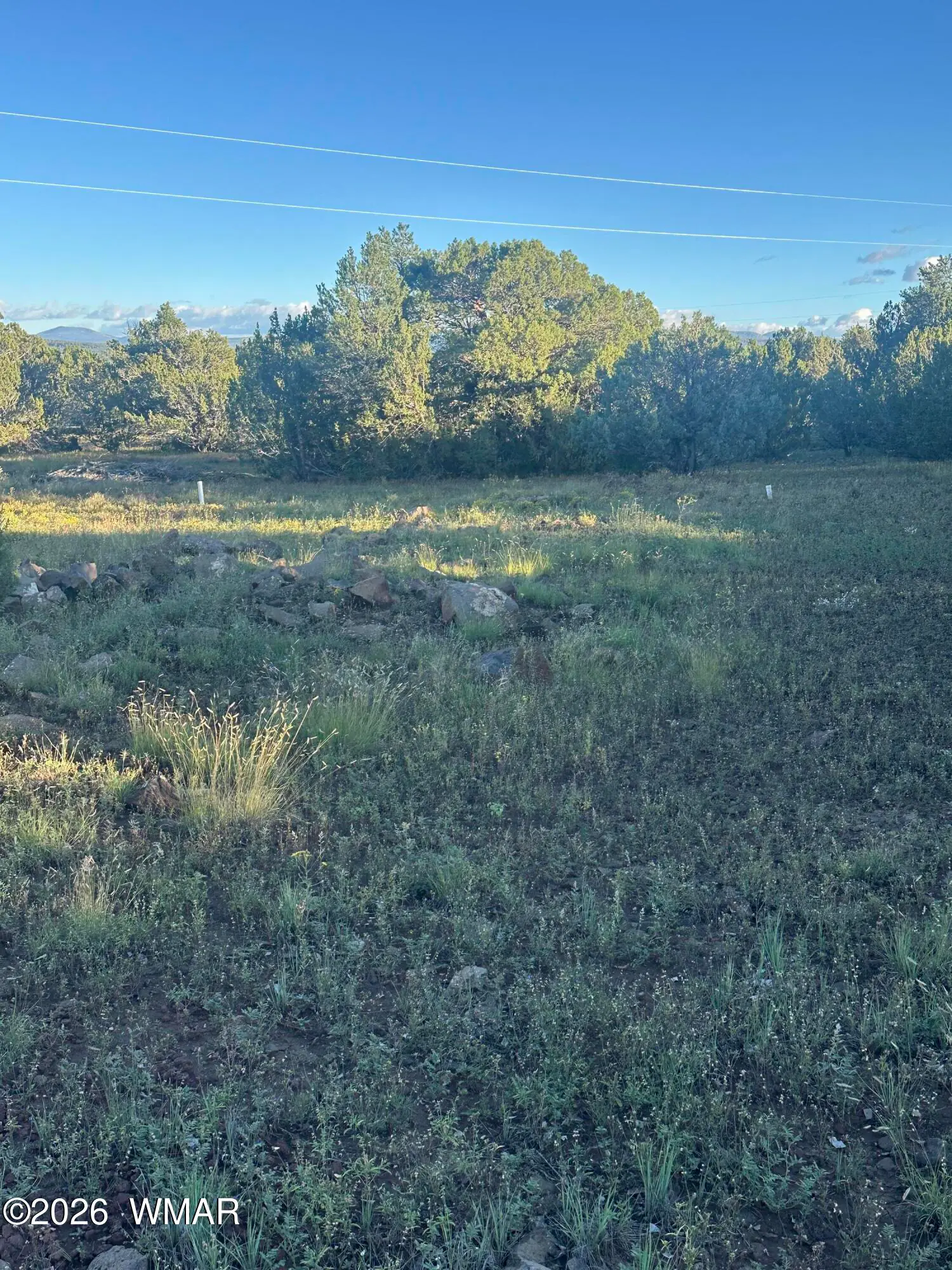 35589 Us 60, Vernon, AZ 85940 — Photo 1 of 6