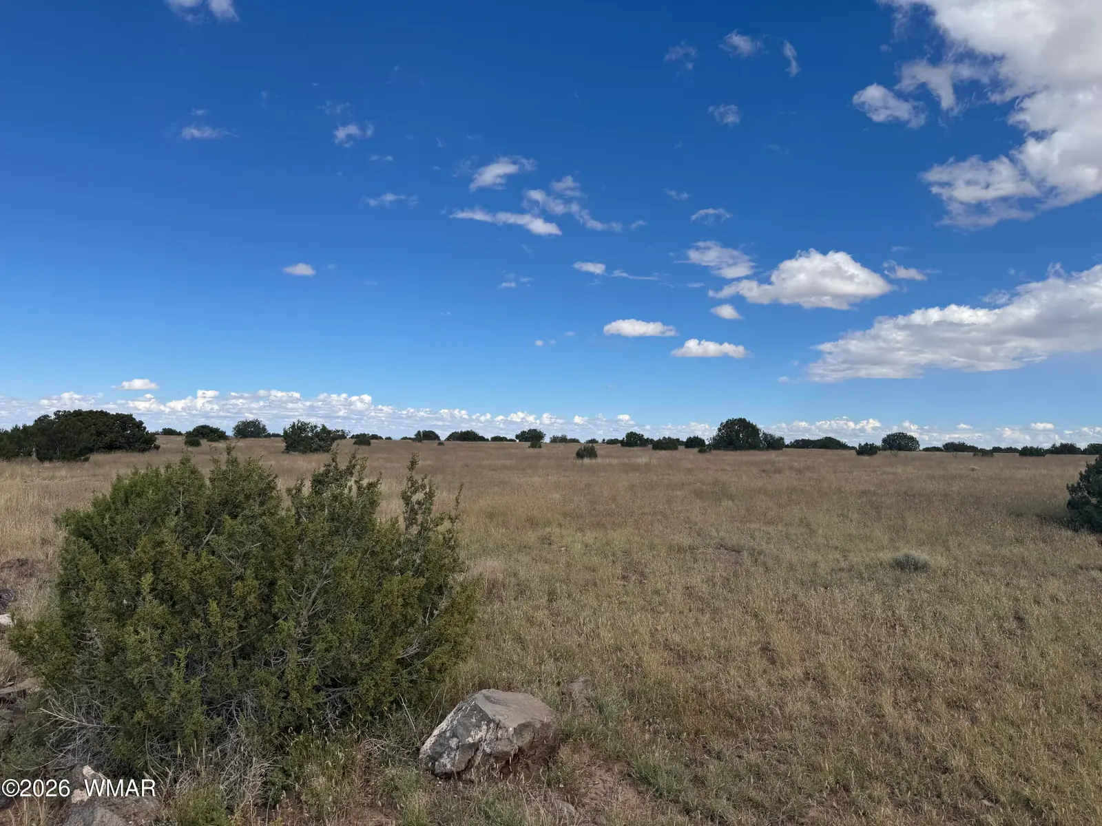 110 Hickory Lane, Concho, AZ 85924 — Photo 1 of 5