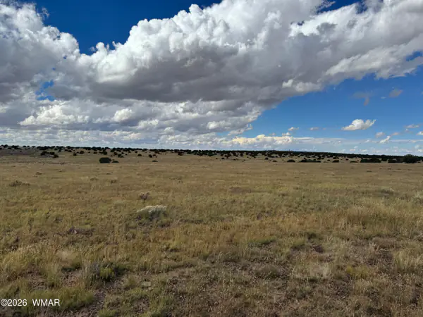 317 Maple Lane, Concho, AZ 85924