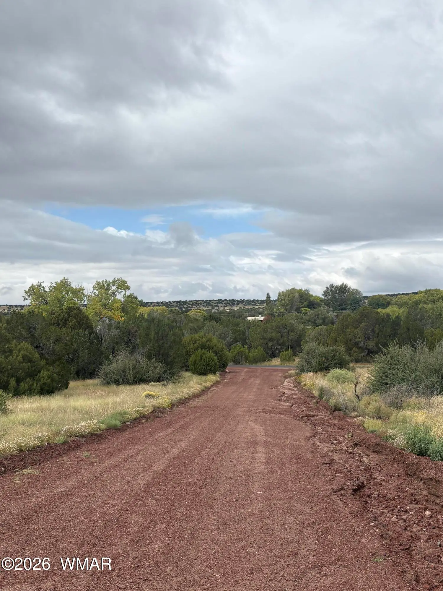 Lot B N8388, Concho, AZ 85924 — Photo 1 of 4