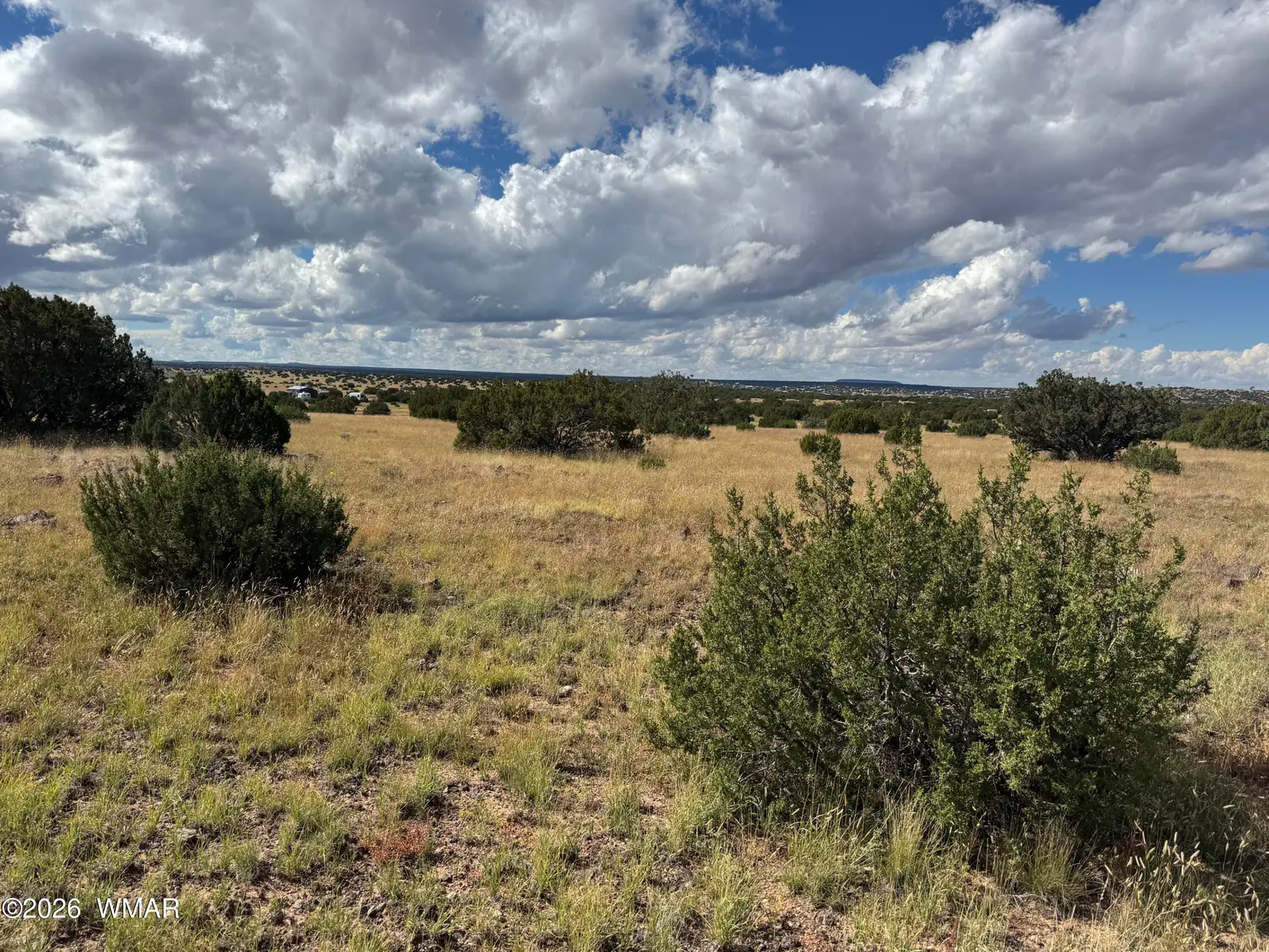 146 Hickory Lane, Concho, AZ 85924 — Photo 1 of 6