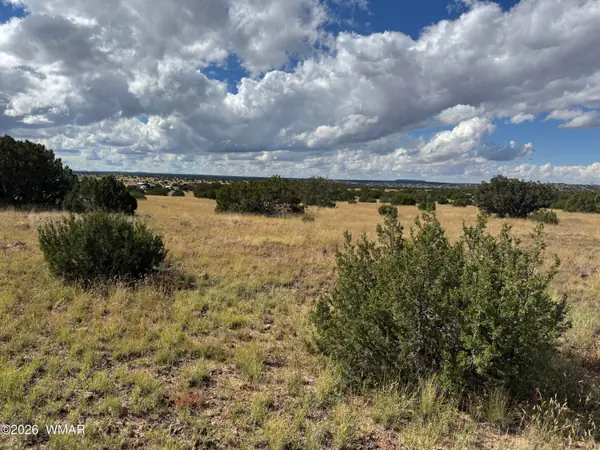 146 Hickory Lane, Concho, AZ 85924