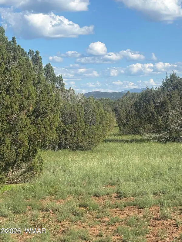 Land at TBD N 8388, Concho