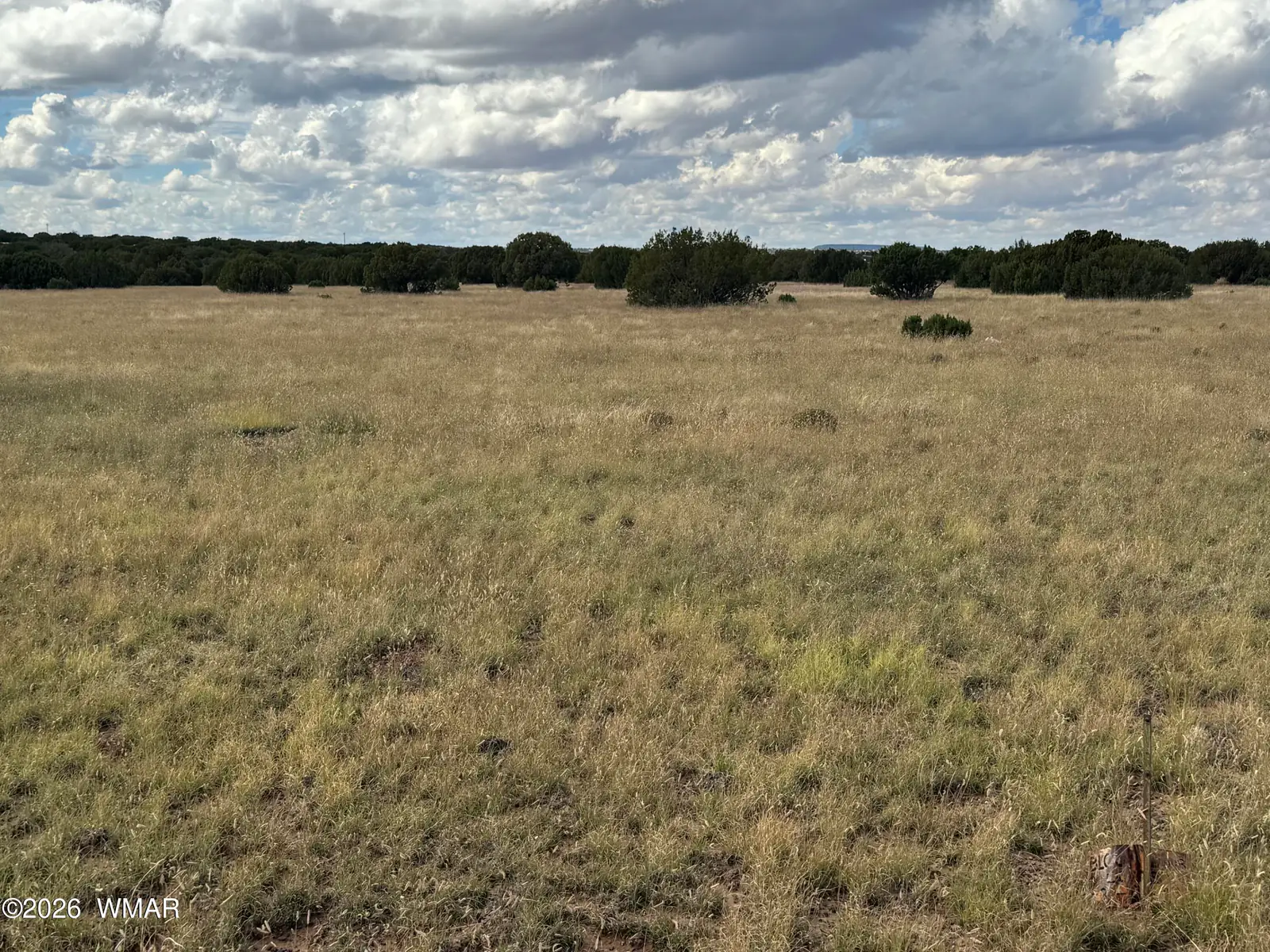 333 Maple Lane, Concho, AZ 85924, Photo 1 of 5