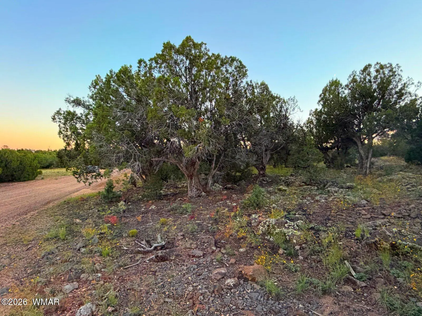 8332 Skyline Drive, Show Low, AZ 85901, Photo 1 of 10